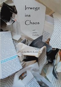 bokomslag Irrwege ins Chaos