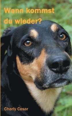 Wann kommst du wieder?