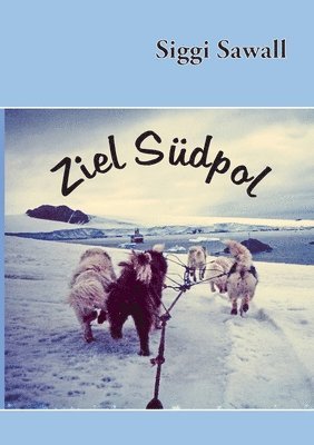 bokomslag Ziel Südpol