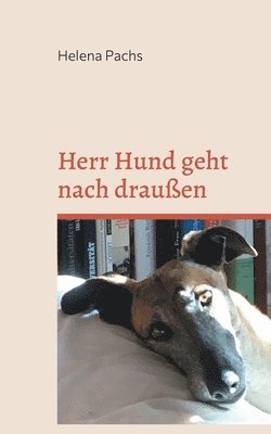 Herr Hund geht nach draußen