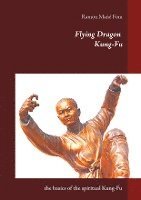 bokomslag Flying Dragon Kung-Fu