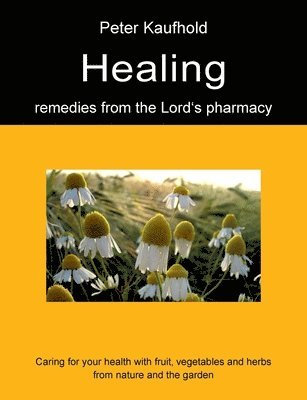 bokomslag Healing remedies from the Lord's pharmacy - Volume 1