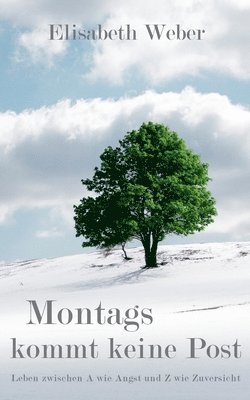 Elisabeth Weber - Montags kommt keine Post, Häftad