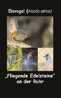 bokomslag Eisvogel (Alcedo atthis)