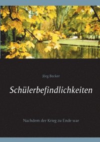 bokomslag Schülerbefindlichkeiten