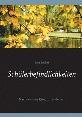 bokomslag Schülerbefindlichkeiten