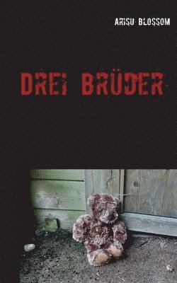 bokomslag Drei Brüder