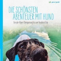 bokomslag Die schönsten Abenteuer mit Hund