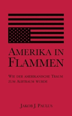 Amerika in Flammen 1