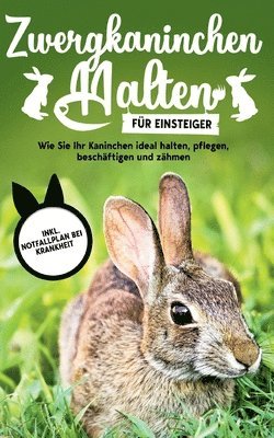 bokomslag Zwergkaninchen halten fr Einsteiger