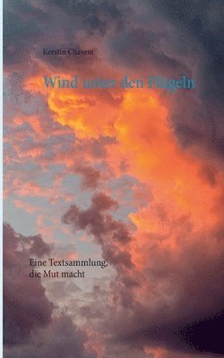 Kerstin Chavent - Wind unter den Flügeln, Häftad