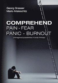 bokomslag Comprehend Pain-Fear-Panic-Burnout