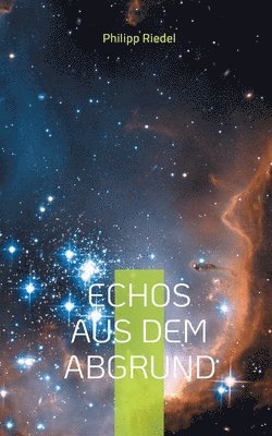Philipp Riedel - Echos aus dem Abgrund, Häftad