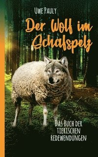 bokomslag Der Wolf im Schafspelz