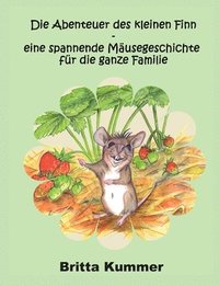 bokomslag Abenteuer des kleinen Finn - eine spannende Mäusegeschichte für die ganze Familie