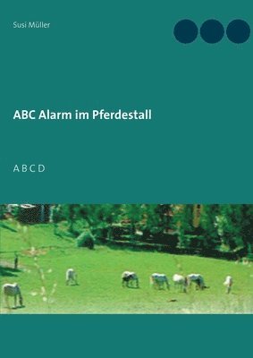 Susi Müller - ABC Alarm im Pferdestall, Häftad
