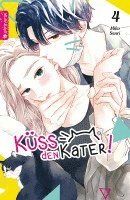 Miko Senri - Küss den Kater 04, Häftad
