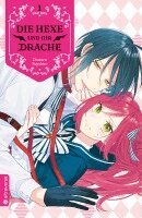 Chizuru Fujishiro - Die Hexe und ihr Drache 01, Häftad
