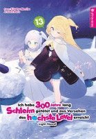 bokomslag Ich habe 300 Jahre lang Schleim getötet und aus Versehen das höchste Level erreicht Light Novel 13