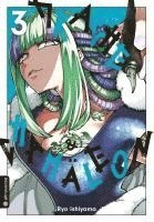 Ryo Ishiyama - Drache & Chamäleon 03, Häftad
