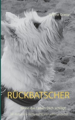 Sabine Grassy - Rückbatscher, Häftad