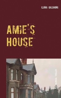 bokomslag Amie's House