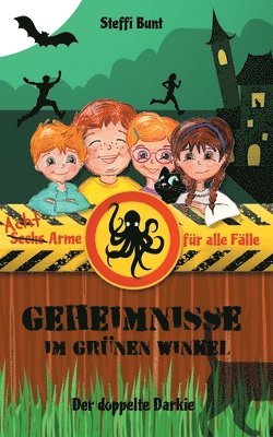 bokomslag Geheimnisse im Grünen Winkel - Der doppelte Darkie