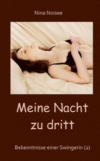 bokomslag Meine Nacht zu dritt