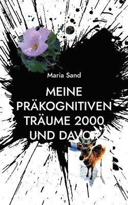 bokomslag Meine präkognitiven Träume 2000 und davor