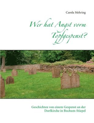 Carola Mehring - Wer hat Angst vorm Topfgespenst?, Häftad