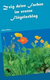 bokomslag Zeig deine Farben im ersten Flügelschlag