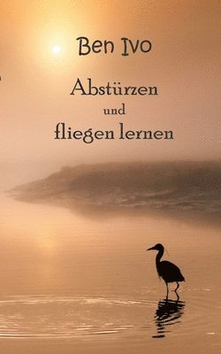 bokomslag Absturzen und fliegen lernen