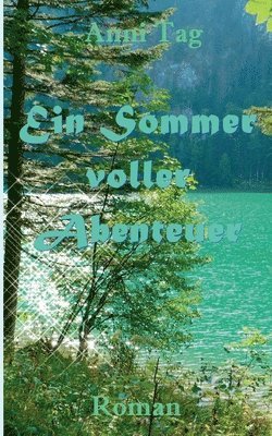 bokomslag Ein Sommer voller Abenteuer