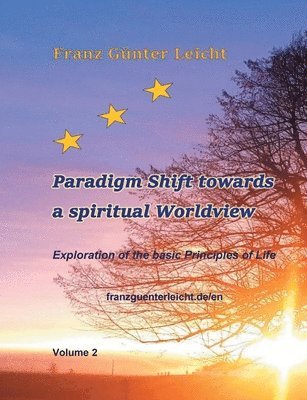 bokomslag Paradigm shift towards a spiritual worldview