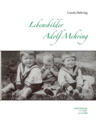 bokomslag Lebensbilder Adolf Mehring