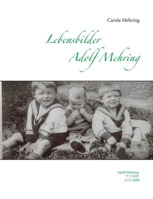 Carola Mehring - Lebensbilder Adolf Mehring, Häftad