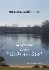 bokomslag Gefahr am Grunen See