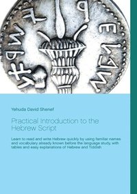 bokomslag Practical Introduction to the Hebrew Script