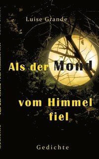 bokomslag Als Der Mond Vom Himmel Fiel