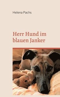 bokomslag Herr Hund im blauen Janker