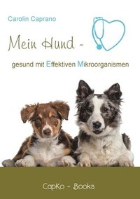 bokomslag Mein Hund - gesund mit Effektiven Mikroorganismen
