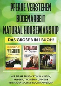 bokomslag Pferde verstehen Bodenarbeit Natural Horsemanship - Das groe 3 in 1 Buch