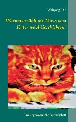 bokomslag Warum erzhlt die Maus dem Kater wohl Geschichten?