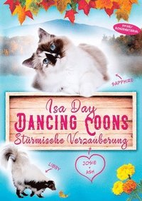 bokomslag Stürmische Verzauberung