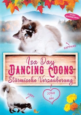 bokomslag Stürmische Verzauberung