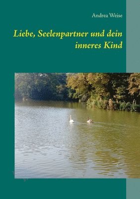 bokomslag Liebe, Seelenpartner und dein inneres Kind