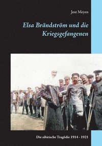 bokomslag Elsa Brndstrm und die Kriegsgefangenen