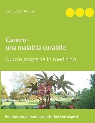 bokomslag Cancro - una malattia curabile