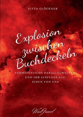 bokomslag Explosion zwischen Buchdeckeln