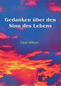 bokomslag Gedanken über den Sinn des Lebens